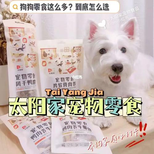 幼犬的零食怎么选择
