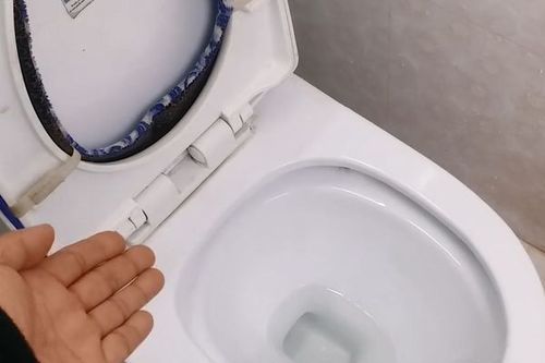 如何清洗马桶