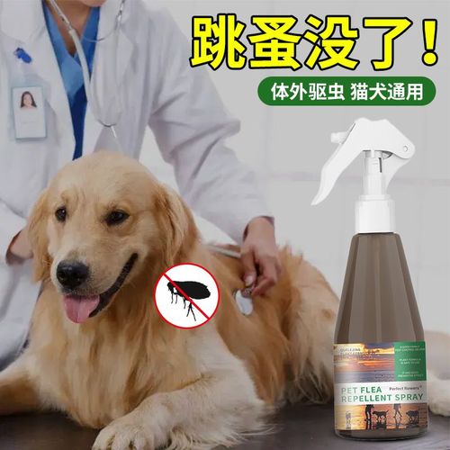 狗狗体外驱虫怎么这么贵