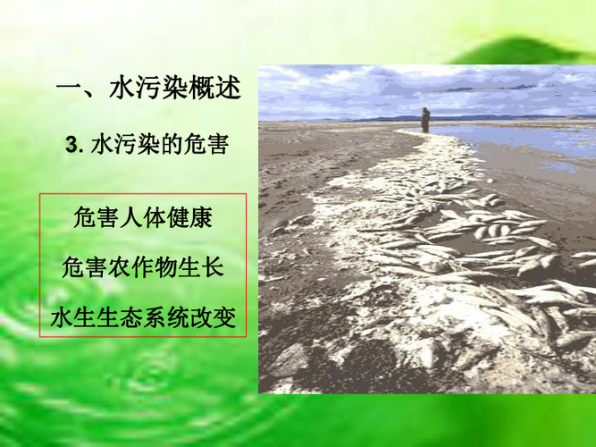 如何应对水污染