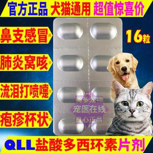 狗狗总淌鼻涕吃什么药