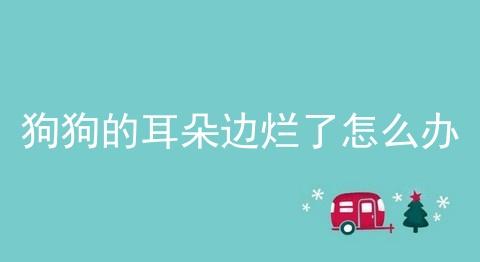 狗狗耳膜破了怎么办