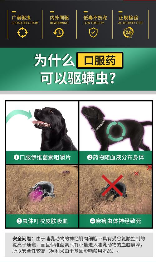 狗狗钩虫怎么治疗