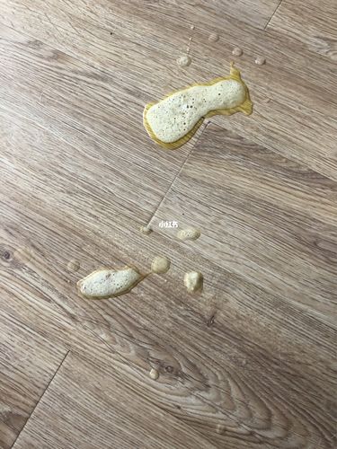 小狗晚上吐黄水怎么办