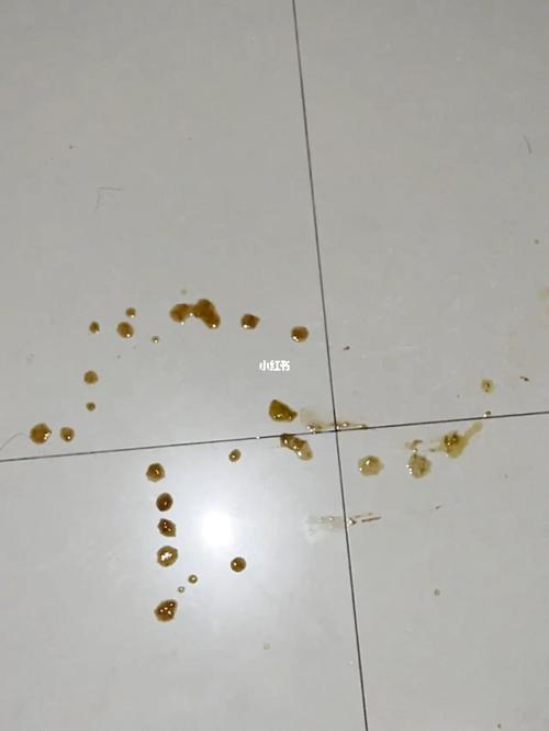 金毛狗大便细是什么原因