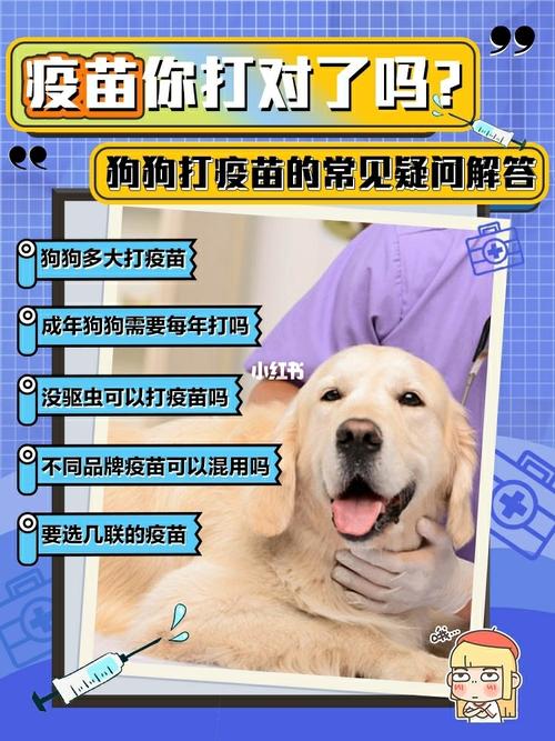 捡的狗狗什么时候打疫苗