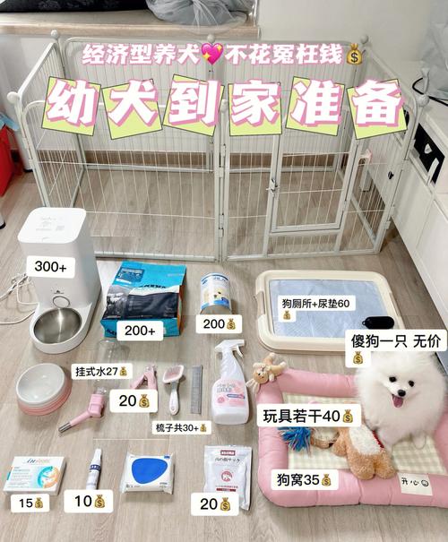 宠物到家需要准备什么条件