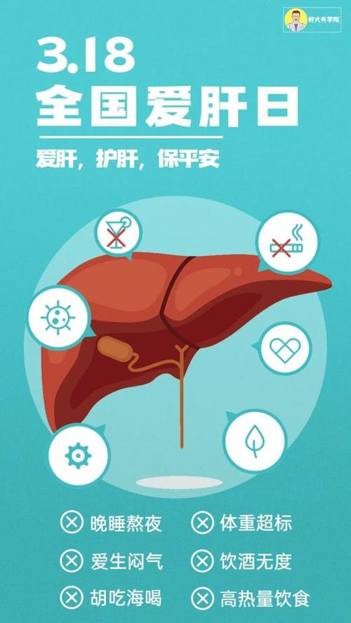 如何保护肝脏健康