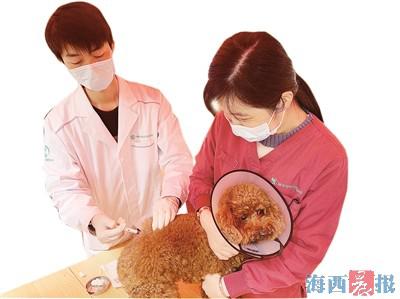 宠物医院上班需要什么证书