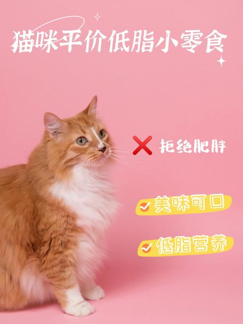 猫咪吃的高脂肪有什么