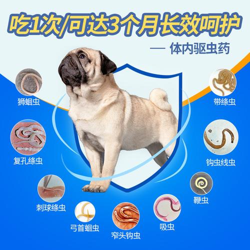 小狗驱虫药吃多了怎么办