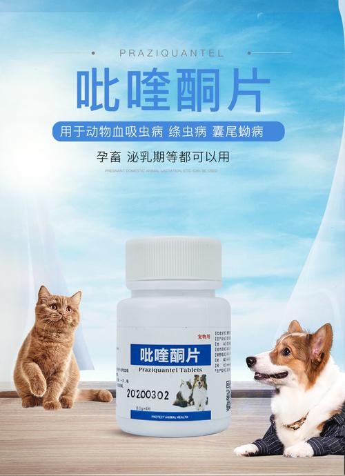 猫咪绦虫吃什么药