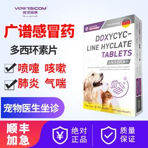 狗狗扩张支气管用什么药