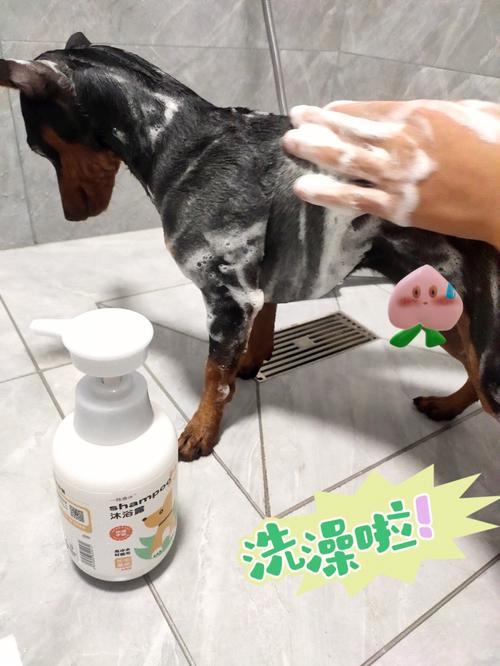 什么狗狗洗澡液好
