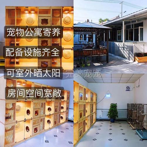 开宠物寄养所需要什么