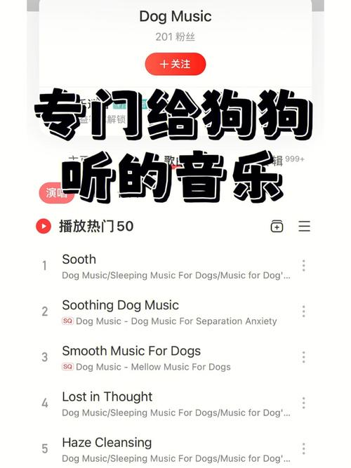 幼犬喜欢听什么歌