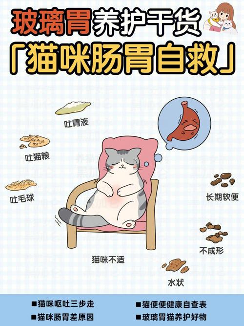 猫咪肠胃怎么通