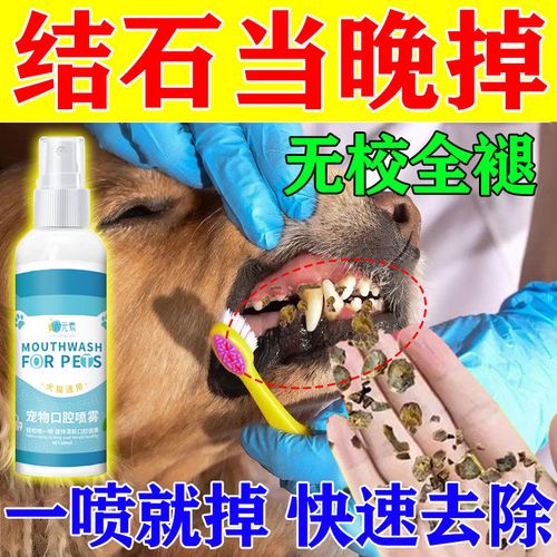 小狗的牙垢用什么能软化掉