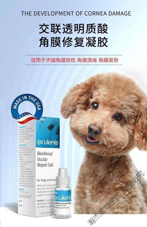 宠物干眼症用什么药