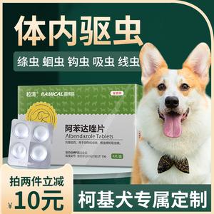 狗狗吃了打虫药什么反应
