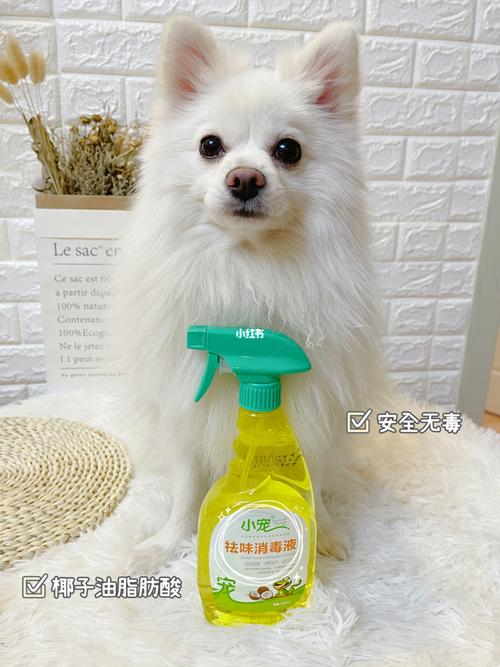 养了狗狗用什么消毒