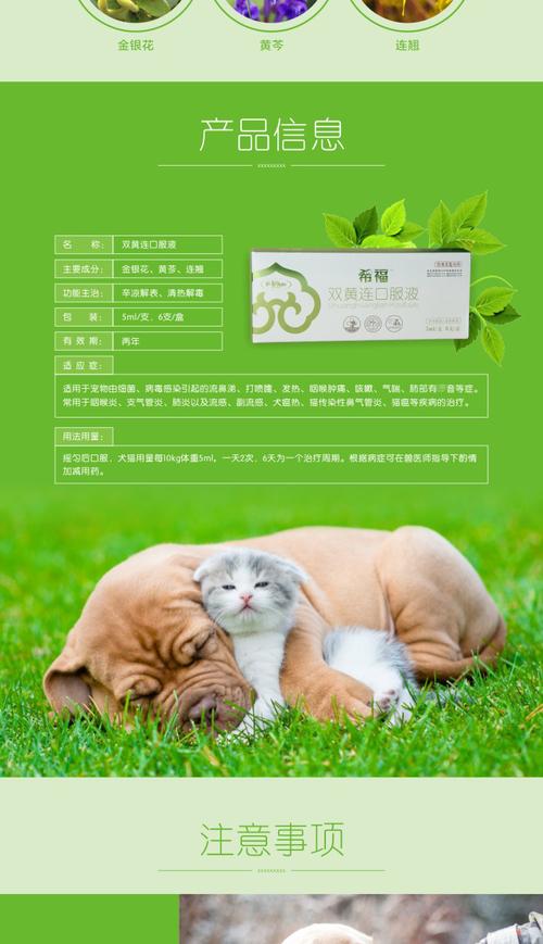 宠物的什么感冒药好