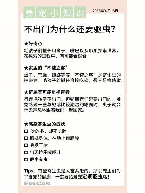 如何有效的驱虫