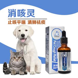 小狗干咳干呕吃什么药