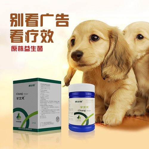 金毛呕吐吃什么消炎药