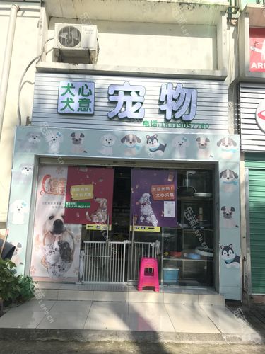 为什么商场很少有宠物店
