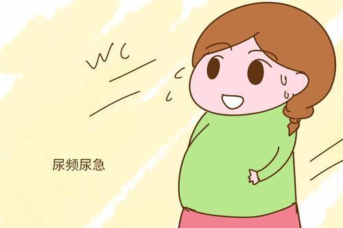 怎样预防尿频