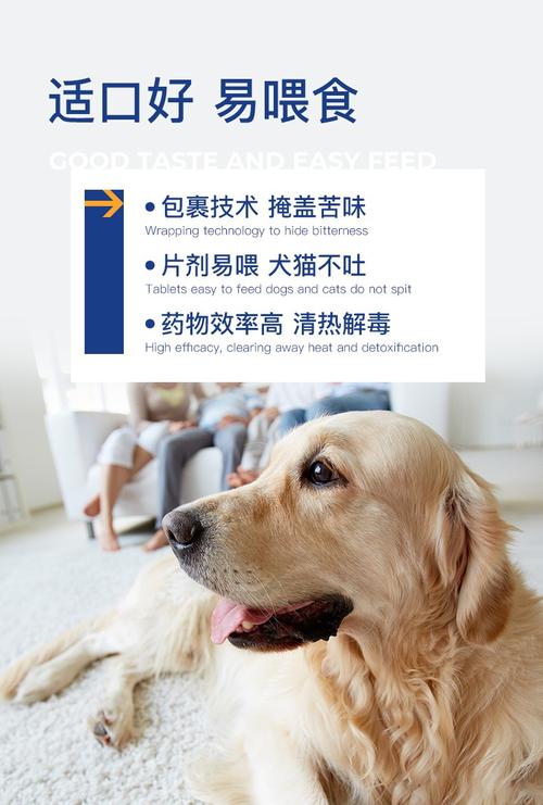 猫咪感冒要买什么药
