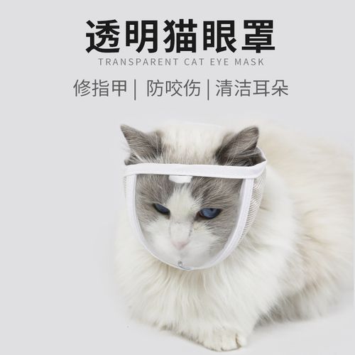 戴什么东西能防止猫咪咬人