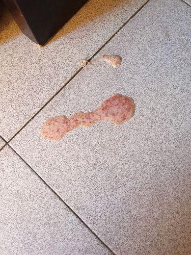 狗狗拉血呕吐什么原因