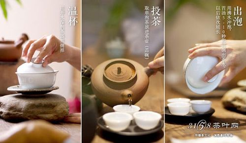 如何正确地冲茶