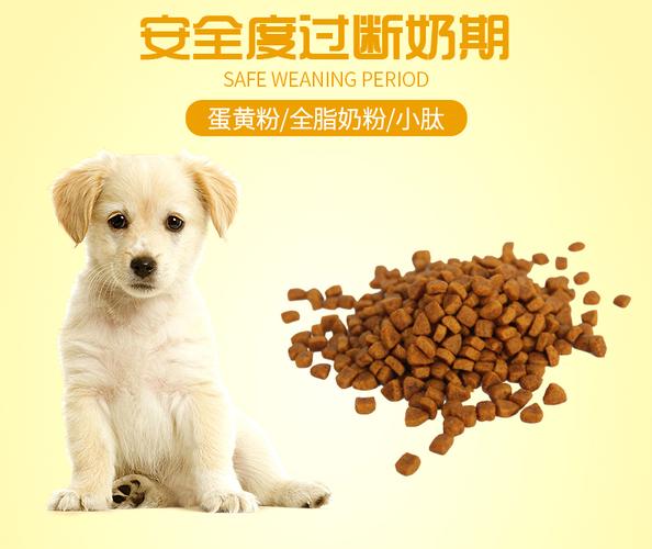 离乳期贵宾吃什么狗粮