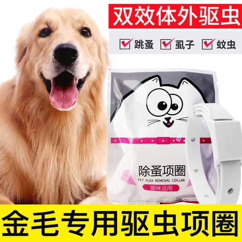 六个多月金毛驱虫用什么好