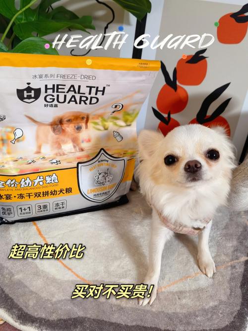 狗狗吃什么狗粮美毛