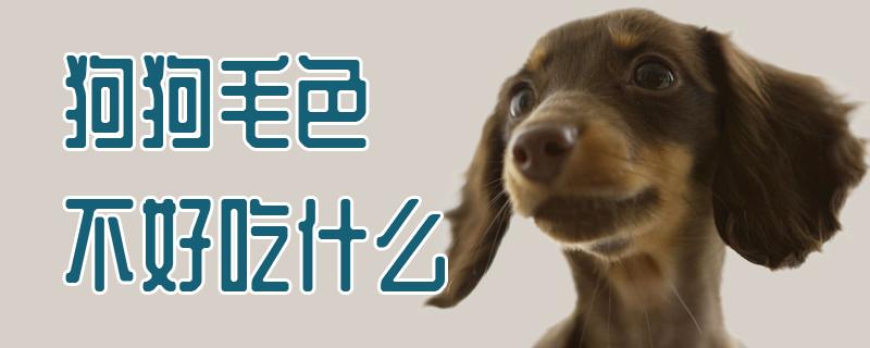 狗狗可以吃什么会变颜色