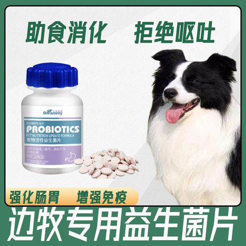 边牧幼犬用什么益生菌