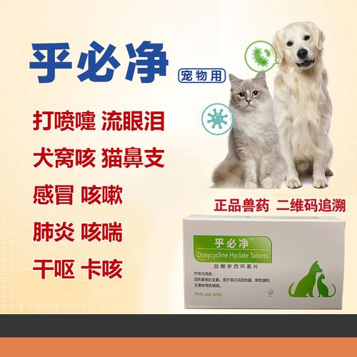 狗狗咳嗽要吃什么药好