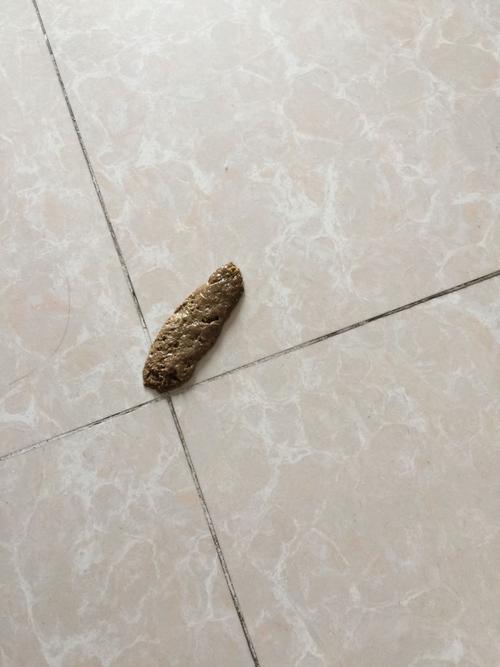 萨摩拉稀指的是什么样的