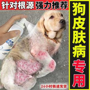 狗狗什么药去螨虫好
