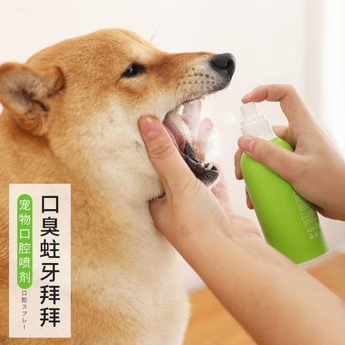 狗狗囗臭怎么去除