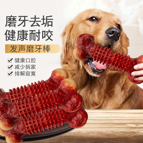 狗狗磨牙怎么治疗