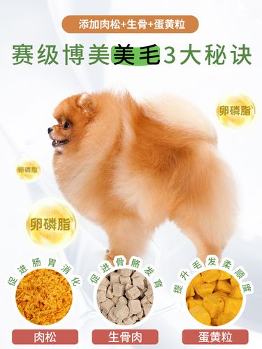 博美吃什么美毛粉