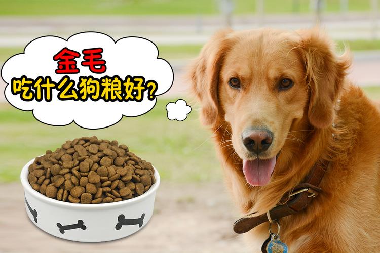 什么狗粮吃了便便少