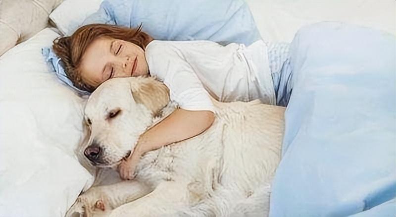 怎么才能让狗狗睡眠质量好