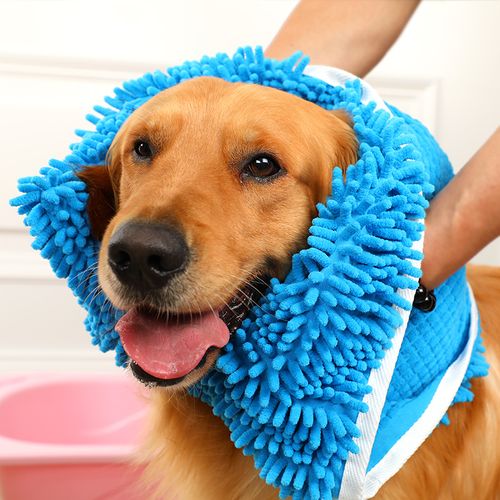 狗狗的吸水毛巾怎么用