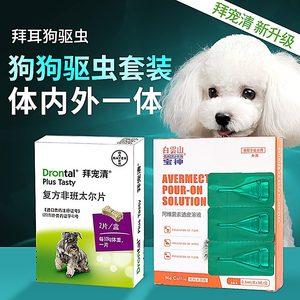 泰迪狗狗吃什么驱虫药